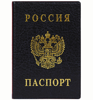 Обложка для паспорта ДПС, ПВХ, тиснение "Герб", черный