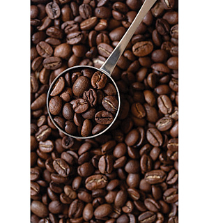 Кофе в зернах COFFESSO "Classico", 100% арабика, 1000 г, вакуумная упаковка, 100895