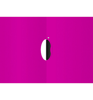 Папка с пластиковым клипом Berlingo "Color Zone" А4, 450мкм, фуксия