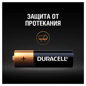 Батарейки КОМПЛЕКТ 2 шт., DURACELL Basic, AA (LR06, 15А), алкалиновые, пальчиковые, блистер