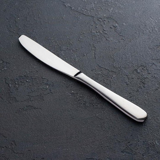 Нож Stella, h=22 см, цвет серебряный
