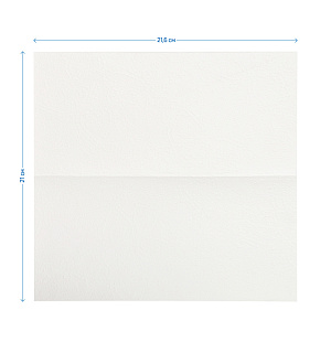 Полотенца бумажные лист. OfficeClean Professional(V-сл) (H3), 2-слойные, 200л/пач, 21*21,6, тиснение, белые