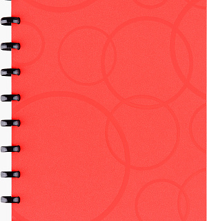 Бизнес-тетрадь В5+, 80л., Berlingo "Eclipse", клетка, на кольцах, с возм. замены блока, 80г/м2, пластик (полифом) обложка, линейка-закладка, красная
